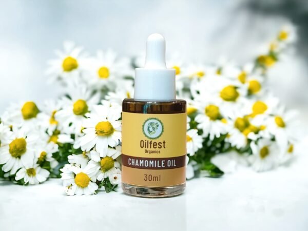 Chamomile Oil