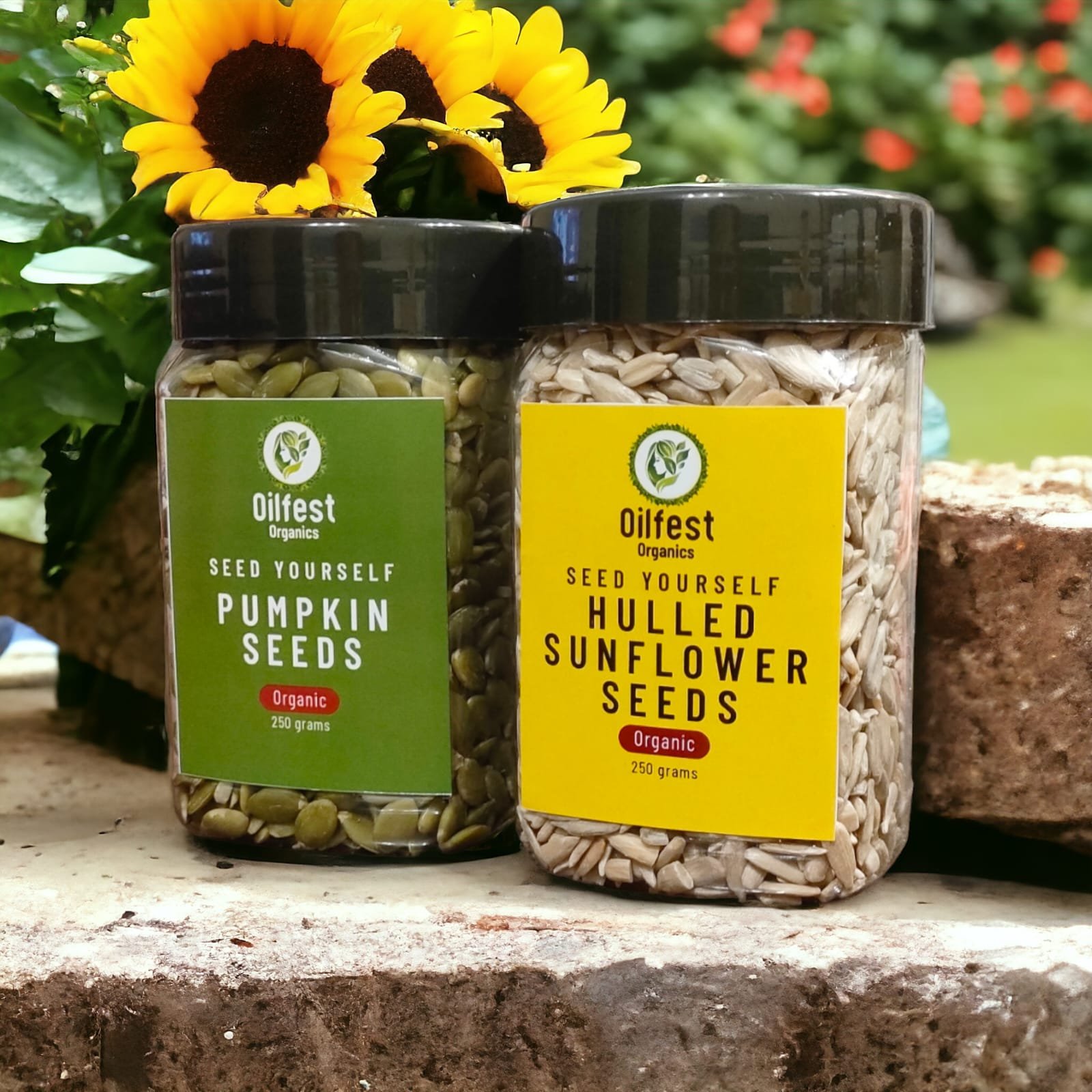 BUNDLE PACK – 250GMS PUMPKIN AND SUNFLOWER SEEDS - Oilfestorganics